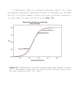 O comprimento médio de primeira maturação sexual (L50) para
Centropomus undecimalis capturados no Delta do Parnaíba, foi estimado
em 47,27 cm CT para fêmeas e 46,96 cm CT para os machos. Enquanto o
L100 para ambos os sexos foi de 65 cm CT (Fig. 27).
Figura 27. Comprimento na primeira maturidade para fêmeas e machos
de C. undecimalis capturados no Delta do Rio Parnaíba entre abril
de 2016 a março de 2017 (n = 467).
Robalo Flecha (Centropomus undecimalis)
Delta do Parnaíba
20 40 60 80 100
Comprimento total (cm)
0,00
0,25
0,50
0,75
1,00
(%)
L50 Comb=47,58 cm
L50 Fêmeas=47,27 cm
L50 Machos=46,96 cm
 