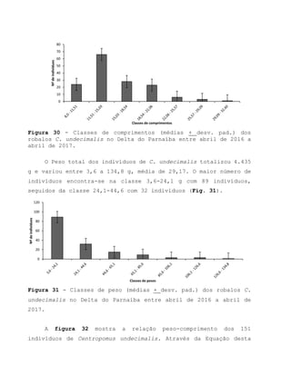 Figura 30 - Classes de comprimentos (médias + desv. pad.) dos
robalos C. undecimalis no Delta do Parnaíba entre abril de 2016 a
abril de 2017.
O Peso total dos indivíduos de C. undecimalis totalizou 4.435
g e variou entre 3,6 a 134,8 g, média de 29,17. O maior número de
indivíduos encontra-se na classe 3,6-24,1 g com 89 indivíduos,
seguidos da classe 24,1-44,6 com 32 indivíduos (Fig. 31).
Figura 31 - Classes de peso (médias + desv. pad.) dos robalos C.
undecimalis no Delta do Parnaíba entre abril de 2016 a abril de
2017.
A figura 32 mostra a relação peso-comprimento dos 151
indivíduos de Centropomus undecimalis. Através da Equação desta
0
10
20
30
40
50
60
70
80
Nºdeindivíduos
Classes de comprimentos
0
20
40
60
80
100
120
Nºdeindivíduos
Classes de pesos
 