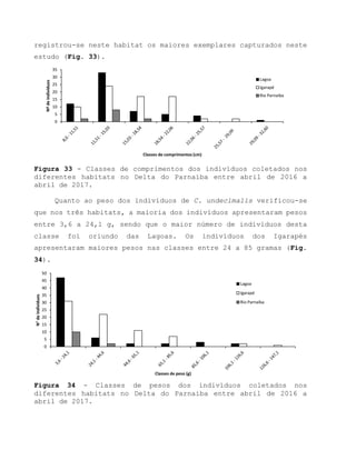 registrou-se neste habitat os maiores exemplares capturados neste
estudo (Fig. 33).
Figura 33 - Classes de comprimentos dos indivíduos coletados nos
diferentes habitats no Delta do Parnaíba entre abril de 2016 a
abril de 2017.
Quanto ao peso dos indivíduos de C. undecimalis verificou-se
que nos três habitats, a maioria dos indivíduos apresentaram pesos
entre 3,6 a 24,1 g, sendo que o maior número de indivíduos desta
classe foi oriundo das Lagoas. Os indivíduos dos Igarapés
apresentaram maiores pesos nas classes entre 24 a 85 gramas (Fig.
34).
Figura 34 - Classes de pesos dos indivíduos coletados nos
diferentes habitats no Delta do Parnaíba entre abril de 2016 a
abril de 2017.
0
5
10
15
20
25
30
35
Nºdeindivíduos
Classes de comprimentos (cm)
Lagoa
Igarapé
Rio Parnaíba
0
5
10
15
20
25
30
35
40
45
50
N°deindivíduos
Classes de peso (g)
Lagoa
Igarapé
Rio Parnaíba
 