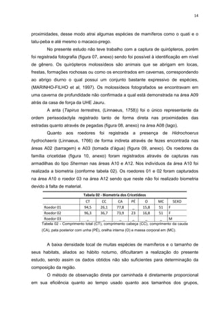 14

proximidades, desse modo atrai algumas espécies de mamíferos como o quati e o
tatu-peba e até mesmo o macaco-prego.
No presente estudo não teve trabalho com a captura de quirópteros, porém
foi registrada fotografia (figura 07, anexo) sendo foi possível à identificação em nível
de gênero. Os quirópteros molossídeos são animais que se abrigam em locas,
frestas, formações rochosas ou como os encontrados em cavernas, correspondendo
ao abrigo diurno o qual possui um conjunto bastante expressivo de espécies,
(MARINHO-FILHO et al, 1997). Os molossídeos fotografados se encontravam em
uma caverna de profundidade não confirmada a qual está demonstrada na área A09
atrás da casa de força da UHE Jauru.
A anta (Tapirus terrestres, (Linnaeus, 1758)) foi o único representante da
ordem perissodactyla registrado tanto de forma direta nas proximidades das
estradas quanto através de pegadas (figura 08, anexo) na área A08 (lago).
Quanto

aos

roedores

foi

registrada

a

presença

de

Hidrochoerus

hydrochaeris (Linnaeus, 1766) de forma indireta através de fezes encontrada nas
áreas A02 (barragem) e A03 (tomada d’água) (figura 09, anexo). Os roedores da
família cricetidae (figura 10, anexo) foram registrados através de capturas nas
armadilhas do tipo Sherman nas áreas A10 e A12. Nos indivíduos da área A10 foi
realizada a biometria (conforme tabela 02). Os roedores 01 e 02 foram capturados
na área A10 o roedor 03 na área A12 sendo que neste não foi realizado biometria
devido à falta de material.
Tabela 02 - Biometria dos Cricetídeos
Roedor 01
Roedor 02
Roedor 03

CT
94,5
96,3
_

CC
26,1
36,7
_

CA
77,8
73,9
_

PÉ
_
23
_

O
15,8
16,8
_

MC
51
51
_

SEXO
F
F
M

Tabela 02 - Comprimento total (CT), comprimento cabeça (CC), comprimento da cauda
(CA), pata posterior com unha (PÉ), orelha interna (O) e massa corporal em (MC).

A baixa densidade local de muitas espécies de mamíferos e o tamanho de
seus habitats, aliados ao hábito noturno, dificultaram a realização do presente
estudo, sendo assim os dados obtidos não são suficientes para determinação da
composição da região.
O método de observação direta por caminhada é diretamente proporcional
em sua eficiência quanto ao tempo usado quanto aos tamanhos dos grupos,

 