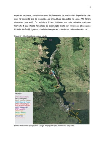 9

espécies arbóreas, constituindo uma fitofisionomia de mata ciliar. Importante citar
que no segundo dia de excursão as armadilhas colocadas na área A10 foram
alteradas para A12. Os trabalhos foram divididos em dois métodos conforme
Carvalho & Luz (2008): 1) Método de observação direta e 2) Método de observação
indireta. Ao final foi gerada uma lista de espécies observadas pelos dois métodos.
Figura 02 – Identificação da área de estudo.

Fonte: Print screen do aplicativo Google maps (1000 pés), modificada pelo autor.

 