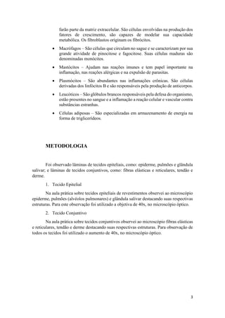 3
farão parte da matriz extracelular. São células envolvidas na produção dos
fatores de crescimento, são capazes de modelar sua capacidade
metabólica. Os fibroblastos originam os fibrócitos.
 Macrófagos – São células que circulam no sague e se caracterizam por sua
grande atividade de pinocitose e fagocitose. Suas células maduras são
denominadas monócitos.
 Mastócitos – Ajudam nas reações imunes e tem papel importante na
inflamação, nas reações alérgicas e na expulsão de parasitas.
 Plasmócitos – São abundantes nas inflamações crônicas. São células
derivadas dos linfócitos B e são responsáveis pela produção de anticorpos.
 Leucóticos – São glóbulos brancos responsáveis pela defesa do organismo,
estão presentes no sangue e a inflamação a reação celular e vascular contra
substâncias estranhas.
 Células adiposas – São especializadas em armazenamento de energia na
forma de triglicerídeos.
METODOLOGIA
Foi observado lâminas de tecidos epiteliais, como: epiderme, pulmões e glândula
salivar; e lâminas de tecidos conjuntivos, como: fibras elásticas e reticulares, tendão e
derme.
1. Tecido Epitelial
Na aula prática sobre tecidos epiteliais de revestimentos observei ao microscópio
epiderme, pulmões (alvéolos pulmonares) e glândula salivar destacando suas respectivas
estruturas. Para este observação foi utilizado a objetiva de 40x, no microscópio óptico.
2. Tecido Conjuntivo
Na aula prática sobre tecidos conjuntivos observei ao microscópio fibras elásticas
e reticulares, tendão e derme destacando suas respectivas estruturas. Para observação de
todos os tecidos foi utilizado o aumento de 40x, no microscópio óptico.
 