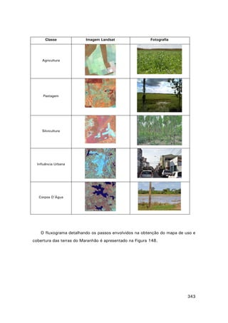 Classe

Imagem Landsat

Fotografia

Agricultura

Pastagem

Silvicultura

Influência Urbana

Corpos D’Água

O fluxograma detalhando os passos envolvidos na obtenção do mapa de uso e
cobertura das terras do Maranhão é apresentado na Figura 148.

343

 