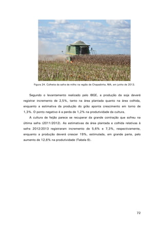 Figura 24. Colheita da safra de milho na região de Chapadinha, MA, em junho de 2013.

Segundo o levantamento realizado pelo IBGE, a produção da soja deverá
registrar incremento de 2,5%, tanto na área plantada quanto na área colhida,
enquanto a estimativa da produção do grão aponta crescimento em torno de
1,3%. O ponto negativo é a perda de 1,2% na produtividade da cultura.
A cultura de feijão parece se recuperar da grande contração que sofreu na
última safra (2011/2012). As estimativas de área plantada e colhida relativas à
safra 2012/2013 registraram incremento de 5,6% e 7,3%, respectivamente,
enquanto a produção deverá crescer 19%, estimulada, em grande parte, pelo
aumento de 12,6% na produtividade (Tabela 6).

72

 