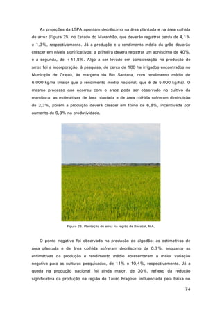 As projeções da LSPA apontam decréscimo na área plantada e na área colhida
de arroz (Figura 25) no Estado do Maranhão, que deverão registrar perda de 4,1%
e 1,3%, respectivamente. Já a produção e o rendimento médio do grão deverão
crescer em níveis significativos: a primeira deverá registrar um acréscimo de 40%,
e a segunda, de +41,8%. Algo a ser levado em consideração na produção de
arroz foi a incorporação, à pesquisa, de cerca de 100 ha irrigados encontrados no
Município de Grajaú, às margens do Rio Santana, com rendimento médio de
6.000 kg/ha (maior que o rendimento médio nacional, que é de 5.000 kg/ha). O
mesmo processo que ocorreu com o arroz pode ser observado no cultivo da
mandioca: as estimativas de área plantada e de área colhida sofreram diminuição
de 2,3%, porém a produção deverá crescer em torno de 6,8%, incentivada por
aumento de 9,3% na produtividade.

Figura 25. Plantação de arroz na região de Bacabal, MA.

O ponto negativo foi observado na produção de algodão: as estimativas de
área plantada e de área colhida sofreram decréscimo de 0,7%, enquanto as
estimativas da produção e rendimento médio apresentaram a maior variação
negativa para as culturas pesquisadas, de 11% e 10,4%, respectivamente. Já a
queda na produção nacional foi ainda maior, de 30%, reflexo da redução
significativa da produção na região de Tasso Fragoso, influenciada pela baixa no
74

 