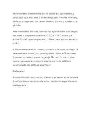 O crescimento é bastante rápido. No quarto dia, por exemplo, o 
coração já bate. No sexto, o bico começa a ser formado. No oitavo, 
inicia-se o surgimento das penas. No nono dia, tem a aparência de 
pintinho. 
Nas incubadoras artificiais, os ovos são aquecidos em duas etapas, 
nas quais a temperatura varia de 37,2°C a 37,8°C. Assim que 
estiver formado e pronto para sair, o filhote quebra a casca usando 
o bico. 
A fêmea torna-se adulta quando começa a botar ovos, ao atingir 24 
semanas (seis meses), no caso da galinha caipira, e 18 semanas 
(quase cinco meses), para a de granja. No caso do macho, isso 
ocorre quase na mesma época, quando sua crista está bem 
desenvolvida. Ela canta ao amanhecer. 
Saiba mais 
Existem ovos de casca branca, marrom e até verde, azul e amarela. 
As diferentes cores são resultado das características genéticas de 
cada espécie. 
 
