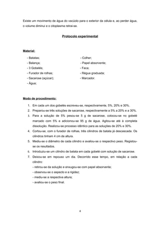 Existe um movimento de água do vacúolo para o exterior da célula e, ao perder água,
o volume diminui e o citoplasma retrai-se.


                              Protocolo experimental



Material:

   - Batatas;                                 - Colher;
   - Balança;                                 - Papel absorvente;
   - 3 Gobelés;                               - Faca;
   - Furador de rolhas;                       - Régua graduada;
   - Sacarose (açúcar);                       - Marcador.
   - Água;




Modo de procedimento:

   1. Em cada um dos gobelés escreveu-se, respectivamente, 5%, 20% e 30%.
   2. Preparou-se três soluções de sacarose, respectivamente a 5% a 20% e a 30%.
   3. Para a solução de 5% pesou-se 5 g de sacarose, colocou-se no gobelé
       marcado com 5% e adicionou-se 95 g de água. Agitou-se até à completa
       dissolução. Realizou-se processo idêntico para as soluções de 20% e 30%.
   4. Cortou-se, com o furador de rolhas, três cilindros de batata já descascada. Os
       cilindros tinham 4 cm de altura.
   5. Mediu-se o diâmetro de cada cilindro e avaliou-se o respectivo peso. Registou-
       se os resultados.
   6. Introduziu-se um cilindro de batata em cada gobelé com solução de sacarose.
   7. Deixou-se em repouso um dia. Decorrido esse tempo, em relação a cada
       cilindro:
       - retirou-se da solução e enxugou-se com papel absorvente;
       - observou-se o aspecto e a rigidez;
       - mediu-se a respectiva altura;
       - avaliou-se o peso final.




                                             4
 