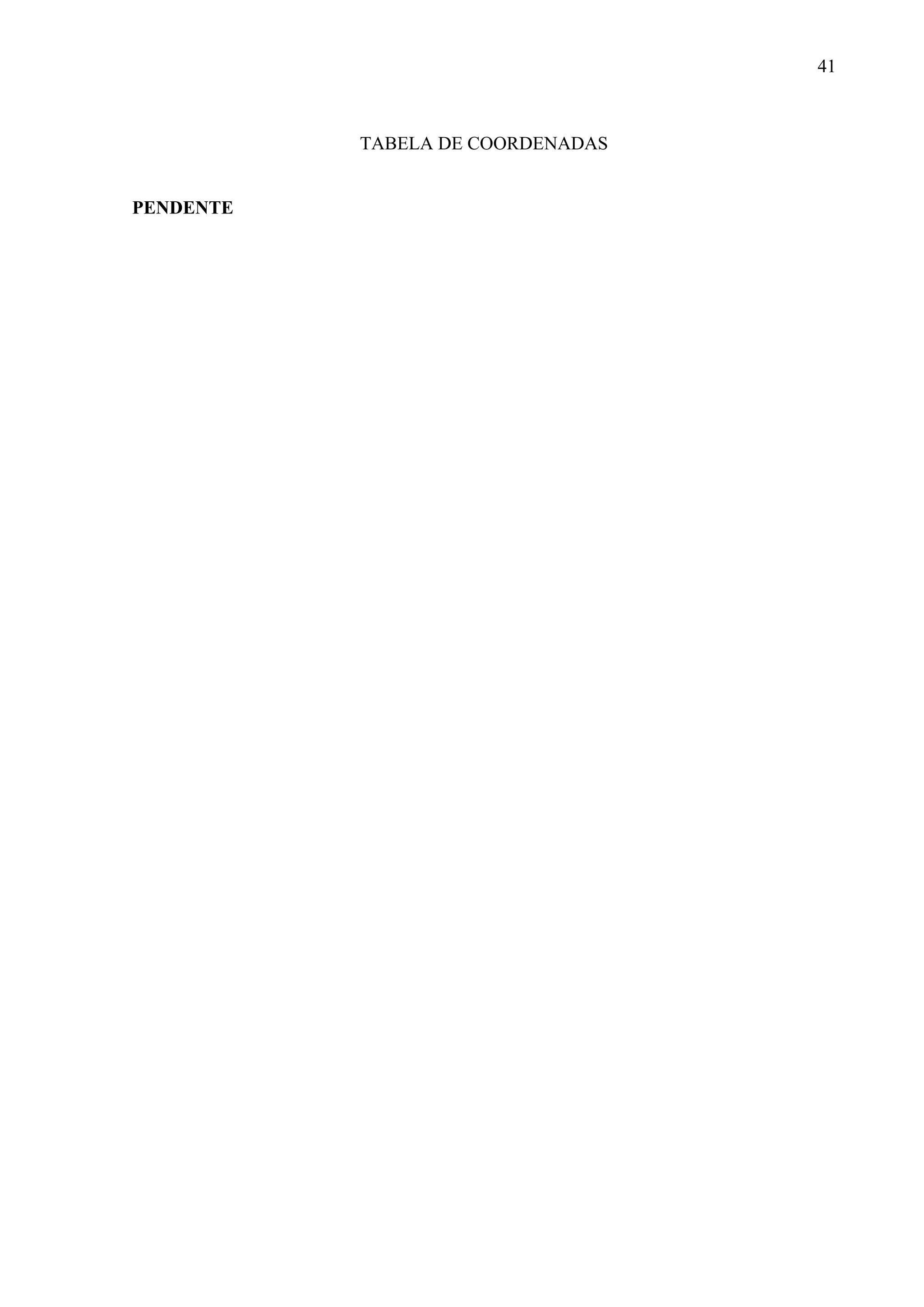 41
TABELA DE COORDENADAS
PENDENTE
 