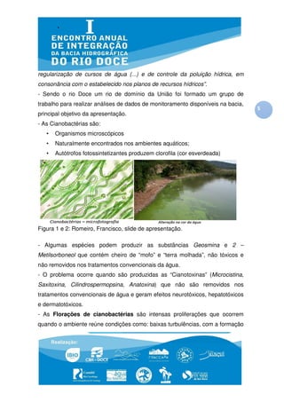 regularização de cursos de água (...) e de controle da poluição hídrica, em
consonância com o estabelecido nos planos de recursos hídricos”.
- Sendo o rio Doce um rio de domínio da União foi formado um grupo de
trabalho para realizar análises de dados de monitoramento disponíveis n bacia,
                                                                      na
                                                                                 5
principal objetivo da apresentação
                      apresentação.
- As Cianobactérias são:
   •   Organismos microscópicos
   •   Naturalmente encontrados nos ambientes aquáticos;
   •   Autótrofos fotossintetizantes produzem clorofila (cor esverdeada)
                                              clorofila




Figura 1 e 2: Romeiro, Francisco, slide de apresentação.
            :

- Algumas espécies podem produzir as substâncias Geosmina e 2 –
Metilsorboneol que contém cheiro de “mofo” e “terra molhada”, não tóxicos e
                          cheiro
não removidos nos tratamentos convencionais da água
                                               água.
- O problema ocorre quando são produzidas as “Cianotoxinas” (Microcistina,
                                                          ”
Saxitoxina, Cilindrospermopsina, Anatoxina que não são removidos nos
                                 Anatoxina)
tratamentos convencionais de água e geram efeitos neurotóxicos, hepatotóxicos
                                           feitos
e dermatotóxicos.
- As Florações de cianobactérias são intensas proliferações que ocorrem
quando o ambiente reúne condições como: baixas turbulências, com a formação
                                                           ,
 
