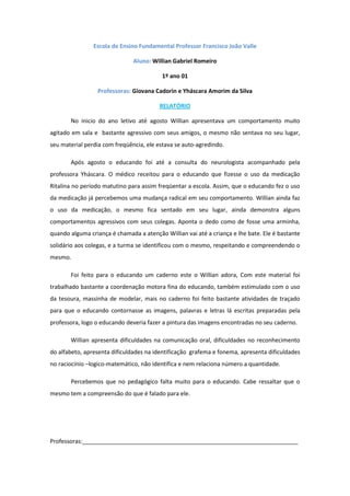 Relatório roger moscon