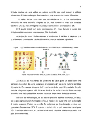 8

divisão mitótica de uma célula do próprio embrião que dará origem a células
trissômicas. Existem dois tipos de mosaicismo, que ocorrem de formas diferentes:
1. O zigoto inicial conta com três cromossomos 21, o que normalmente
resultaria em uma trissomia simples do 21, mas durante o curso das divisões
celulares uma ou mais linhagens celulares perdem um dos cromossomos 21;
2. O zigoto inicial tem dois cromossomos 21, mas durante o curso das
divisões celulares um dos cromossomos 21 é duplicado;
A proporção entre células normais e trissômicas é variável e exige-se que
quanto menor o número de células trissômicas, menos afetado é o paciente.

Figura 1 – (a) Trissomia Livre do Cromossomo 11; (b) Translocação Cromossômica (c) SD em
Mosaico;

(a)

(b)

(c)

Fonte: Respectivamente, JÚNIOR, 2014; FERRAZ, 2014; VILA, 2014.

As chances de recorrência da Síndrome de Down para um casal com filho
portador dependem de como a cópia do cromossomo 21 se dá no material genético
do paciente. Em caso de trissomia do 21, a chance de ter outro filho portador é muito
remota, chegando apenas até 1% e os irmãos de portadores da Síndrome com
trissomia livre não apresentam maiores riscos de terem filhos afetados também.
No caso da translocação, se ela estiver presente apenas na criança, ou seja,
se os pais apresentarem formação normal, o risco de ter outro filho com a alteração
é muito pequeno. Porém, se a mãe for detentora da translocação, o risco em
gestações futuras é de 12%. E quando o portador for o pai, esse risco decai para
3%. O motivo relacionado ao percentual de risco diferente referente ao sexo dos
pais é desconhecido.

 