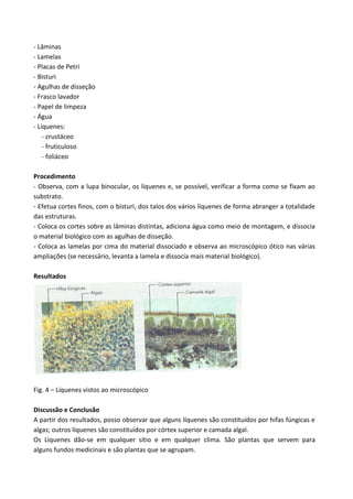 - Lâminas
- Lamelas
- Placas de Petri
- Bisturi
- Agulhas de disseção
- Frasco lavador
- Papel de limpeza
- Água
- Líquenes:
    - crustáceo
    - fruticuloso
    - foliáceo

Procedimento
- Observa, com a lupa binocular, os líquenes e, se possível, verificar a forma como se fixam ao
substrato.
- Efetua cortes finos, com o bisturi, dos talos dos vários líquenes de forma abranger a totalidade
das estruturas.
- Coloca os cortes sobre as lâminas distintas, adiciona água como meio de montagem, e dissocia
o material biológico com as agulhas de disseção.
- Coloca as lamelas por cima do material dissociado e observa ao microscópico ótico nas várias
ampliações (se necessário, levanta a lamela e dissocia mais material biológico).

Resultados




Fig. 4 – Líquenes vistos ao microscópico

Discussão e Conclusão
A partir dos resultados, posso observar que alguns líquenes são constituídos por hifas fúngicas e
algas; outros líquenes são constituídos por córtex superior e camada algal.
Os Líquenes dão-se em qualquer sítio e em qualquer clima. São plantas que servem para
alguns fundos medicinais e são plantas que se agrupam.
 