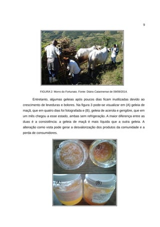 9
FIGURA 2: Morro do Fortunato. Fonte: Diário Catarinense de 09/09/2014.
Entretanto, algumas geleias após poucos dias ficam inutilizadas devido ao
crescimento de leveduras e bolores. Na figura 3 pode-se visualizar em (A) geleia de
maçã, que em quatro dias foi fotografada e (B), geleia de acerola e gengibre, que em
um mês chegou a esse estado, ambas sem refrigeração. A maior diferença entre as
duas é a consistência: a geleia de maçã é mais líquida que a outra geleia. A
alteração como vista pode gerar a desvalorização dos produtos da comunidade e a
perda de consumidores.
 