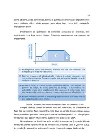 20
como a biotina, ácido pantotênico, tiamina e quantidades mínimas de oligoelementos
como potássio, cálcio, silício, enxofre, ferro, cloro, bóro, cobre, iodo, manganês,
molibdênio e zinco.
Dependendo da quantidade de nutrientes acessíveis as leveduras, seu
crescimento pode levar tempo distinto. Entretanto, considera-se fases comuns ao
crescimento:
FIGURA 7: Fases do crescimento de leveduras. Fonte: Veira e Queiroz (2012).
Sempre deve-se utilizar um cultura nova em laboratório, de preferência em
fase log ou iniciando fase estacionária. Isso deve-se ao fato de que culturas já nas
fases posteriores possuem maior quantidade de resíduos produzidos pelas próprias
leveduras e que podem influenciar na subsequente extração de DNA.
O crescimento de leveduras pode ser de forma assexual (cerca de 50% de
leveduras apenas reproduzem-se de forma sexual, segundo Veira e Queiroz, 2012).
A reprodução assexual se realiza em forma de brotamento ou por fissão celular.
 