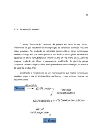 23
1.2.4 Fermentação alcoólica
O termo "fermentação" deriva-se da palavra em latim fervere, ferver,
referindo-se ao gás resultante da decomposição de compostos químicos realizada
pelas leveduras. Na produção de alimentos compreende-se como fermentação
alcoólica a etapa em que microrganismos em ausência de oxigênio transformam
açúcares em álcool (UNIVERSIDAD NACIONAL DE ENTRE RÍOS, 2015). Além da
iminente produção de álcool e consequente acidificação do alimento outros
compostos também são produzidos, estes podendo resultar na alteração do aroma e
do sabor do produto final.
Geralmente o metabolismo de um microrganismo que realiza fermentação
alcoólica segue a via de Embden-Meyorhof-Parnas, como pode-se observar no
esquema abaixo.
 