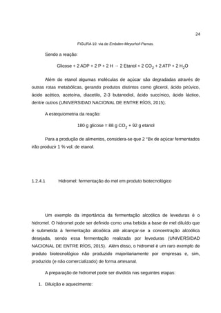 24
FIGURA 10: via de Embden-Meyorhof-Parnas.
Sendo a reação:
Glicose + 2 ADP + 2 P + 2 H → 2 Etanol + 2 CO2 + 2 ATP + 2 H2O
Além do etanol algumas moléculas de açúcar são degradadas através de
outras rotas metabólicas, gerando produtos distintos como glicerol, ácido pirúvico,
ácido acético, acetoína, diacetilo, 2-3 butanodiol, ácido succínico, ácido láctico,
dentre outros (UNIVERSIDAD NACIONAL DE ENTRE RÍOS, 2015).
A estequiometria da reação:
180 g glicose = 88 g CO2 + 92 g etanol
Para a produção de alimentos, considera-se que 2 °Bx de açúcar fermentados
irão produzir 1 % vol. de etanol.
1.2.4.1 Hidromel: fermentação do mel em produto biotecnológico
Um exemplo da importância da fermentação alcoólica de leveduras é o
hidromel. O hidromel pode ser definido como uma bebida a base de mel diluído que
é submetida à fermentação alcoólica até alcançar-se a concentração alcoólica
desejada, sendo essa fermentação realizada por leveduras (UNIVERSIDAD
NACIONAL DE ENTRE RÍOS, 2015). Além disso, o hidromel é um raro exemplo de
produto biotecnológico não produzido majoritariamente por empresas e, sim,
produzido (e não comercializado) de forma artesanal.
A preparação de hidromel pode ser dividida nas seguintes etapas:
1. Diluição e aquecimento:
 