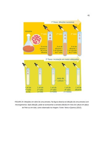 41
FIGURA 24: Diluições em série de uma amostra. Na figura observa-se diluição de uma amostra com
microrganismos. Após diluição, pode-se acrescentar a amostra diluída em meio de cultura em placa
de Petri ou em tubo, como observado na imagem. Fonte: Veira e Queiroz (2012).
 