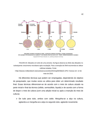 42
FIGURA 25: Diluições em série de uma amostra. Na figura observa-se efeito das diluições no
subsequente crescimento microbiano após incubação. Para a extração de DNA recomenda-se utilizar
colônias isoladas. Fonte:
<http://classes.midlandstech.edu/carterp/courses/bio225/chap06/Slide22.JPG> Acesso em: 12 de
maio de 2016.
Há diferentes técnicas que podem ser empregadas, dependendo do objetivo
do pesquisador, que muitas vezes as utiliza para obter um determinado resultado
final. Essas técnicas diferenciam-se de acordo com o meio de cultura utizado na
parte inicial e final da técnica (sólido, semissólido, líquido) e de acordo com a forma
de dispor o meio de cultura (com uma adição inicial ou após a inserção do meio de
cultura).
➢ De tudo para tubo, ambos com caldo. Mergulha-se a alça na cultura,
agitando-a e mergulha-se a alça no segundo tubo, agitando novamente.
 