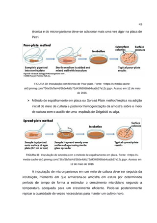 45
técnica e do microrganismo deve-se adicionar mais uma vez ágar na placa de
Petri.
FIGURA 30: Inoculação com técnica de Pour-plate. Fonte: <https://s-media-cache-
ak0.pinimg.com/736x/3b/5e/4d/3b5e4d6c72d43f66998ab4cabb37e12c.jpg>. Acesso em 12 de maio
de 2016.
➢ Método de espalhamento em placa ou Spread Plate method implica na adição
inicial de meio de cultura e posterior homogenização da amostra sobre o meio
de cultura com o auxílio de uma espátula de Drigalski ou alça.
FIGURA 31: Inoculação de amostra com o método de espalhamento em placa. Fonte: <https://s-
media-cache-ak0.pinimg.com/736x/3b/5e/4d/3b5e4d6c72d43f66998ab4cabb37e12c.jpg>. Acesso em
12 de maio de 2016.
A inoculação de microrganismos em um meio de cultura deve ser seguida da
incubação, momento em que armazena-se amostra em estufa por determinado
período de tempo de forma a estimular o crescimento microbiano segundo a
temperatura adequada para um crescimento eficiente. Pode-se posteriormente
repicar a quantidade de vezes necessárias para manter um cultivo novo.
 