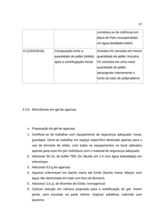 57
constituiu-se de colônicas em
placa de Petri resuspendidas
em água destilada estéril.
H (13/04/2016) Comparação entre a
quantidade de pellet (sólido)
após a centrifugação inicial.
Amostra H1 consistia em menor
quantidade de pellet. Amostra
H2 consistia em uma maior
quantidade de pellet,
abrangendo inteiramente o
fundo do tubo de polipropileno.
2.3.5 Eletroforese em gel de agarosa
➢ Preparação do gel de agarosa:
1. Certificar-se de trabalhar com equipamento de segurança adequado: luvas,
guardapó. Deve-se trabalhar em espaço específico destinado apenas para o
uso de brometo de etídio, com todos os equipamentos no local utilizados
apenas para esse fim por indivíduos com o material de segurança adequado.
2. Adicionar 50 mL de buffer TBE (5x diluído em 1:4 com água bidestilada) em
erlenmeyer.
3. Adicionar 0,5 g de agarosa.
4. Aquecer erlenmeyer em banho maria até fundir (banho maria: béquer com
água não deionizada em tripé com bico de Bunsen).
5. Adicionar 2,5 μL de Brometo de Etídio; homogenizar.
6. Colocar solução em câmara propriada para a solidificação do gel. Inserir
pente, sem encostar na parte inferior. Esperar solidificar, cobrindo com
alumínio.
 
