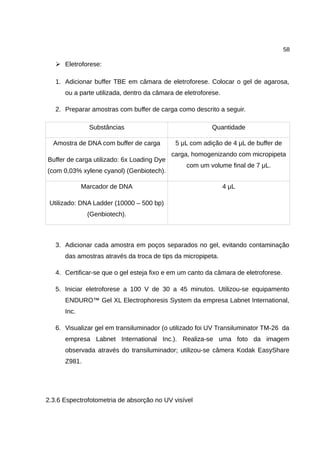 58
➢ Eletroforese:
1. Adicionar buffer TBE em câmara de eletroforese. Colocar o gel de agarosa,
ou a parte utilizada, dentro da câmara de eletroforese.
2. Preparar amostras com buffer de carga como descrito a seguir.
Substâncias Quantidade
Amostra de DNA com buffer de carga
Buffer de carga utilizado: 6x Loading Dye
(com 0,03% xylene cyanol) (Genbiotech).
5 μL com adição de 4 μL de buffer de
carga, homogenizando com micropipeta
com um volume final de 7 μL.
Marcador de DNA
Utilizado: DNA Ladder (10000 – 500 bp)
(Genbiotech).
4 μL
3. Adicionar cada amostra em poços separados no gel, evitando contaminação
das amostras através da troca de tips da micropipeta.
4. Certificar-se que o gel esteja fixo e em um canto da câmara de eletroforese.
5. Iniciar eletroforese a 100 V de 30 a 45 minutos. Utilizou-se equipamento
ENDURO™ Gel XL Electrophoresis System da empresa Labnet International,
Inc.
6. Visualizar gel em transiluminador (o utilizado foi UV Transiluminator TM-26 da
empresa Labnet International Inc.). Realiza-se uma foto da imagem
observada através do transiluminador; utilizou-se câmera Kodak EasyShare
Z981.
2.3.6 Espectrofotometria de absorção no UV visível
 