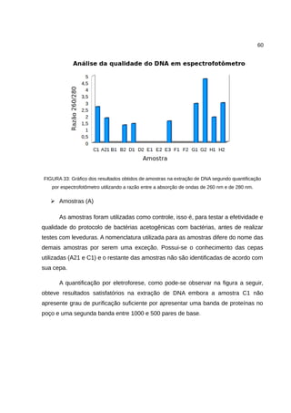 60
FIGURA 33: Gráfico dos resultados obtidos de amostras na extração de DNA segundo quantificação
por espectrofotômetro utilizando a razão entre a absorção de ondas de 260 nm e de 280 nm.
➢ Amostras (A)
As amostras foram utilizadas como controle, isso é, para testar a efetividade e
qualidade do protocolo de bactérias acetogênicas com bactérias, antes de realizar
testes com leveduras. A nomenclatura utilizada para as amostras difere do nome das
demais amostras por serem uma exceção. Possui-se o conhecimento das cepas
utilizadas (A21 e C1) e o restante das amostras não são identificadas de acordo com
sua cepa.
A quantificação por eletroforese, como pode-se observar na figura a seguir,
obteve resultados satisfatórios na extração de DNA embora a amostra C1 não
apresente grau de purificação suficiente por apresentar uma banda de proteínas no
poço e uma segunda banda entre 1000 e 500 pares de base.
 
