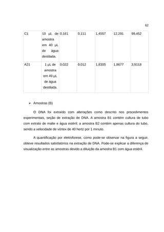 62
C1 10 μL de
amostra
em 40 μL
de água
destilada.
0,161 0,111 1,4557 12,291 99,452
A21 1 μL de
amostra
em 49 μL
de água
destilada.
0,022 0,012 1,8305 1,8677 3,9118
➢ Amostras (B)
O DNA foi extraído com alterações como descrito nos procedimentos
experimentais, seção de extração de DNA. A amostra B1 contém cultura de tubo
com extrato de malte e água estéril; a amostra B2 contém apenas cultura do tubo,
sendo a velocidade de vórtex de 40 hertz por 1 minuto.
A quantificação por eletroforese, como pode-se observar na figura a seguir,
obteve resultados satisfatórios na extração de DNA. Pode-se explicar a diferença de
visualização entre as amostras devido a diluição da amostra B1 com água estéril.
 