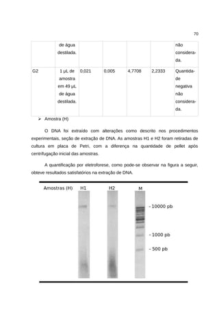 70
de água
destilada.
não
considera-
da.
G2 1 μL de
amostra
em 49 μL
de água
destilada.
0,021 0,005 4,7708 2,2333 Quantida-
de
negativa
não
considera-
da.
➢ Amostra (H)
O DNA foi extraído com alterações como descrito nos procedimentos
experimentais, seção de extração de DNA. As amostras H1 e H2 foram retiradas de
cultura em placa de Petri, com a diferença na quantidade de pellet após
centrifugação inicial das amostras.
A quantificação por eletroforese, como pode-se observar na figura a seguir,
obteve resultados satisfatórios na extração de DNA.
 