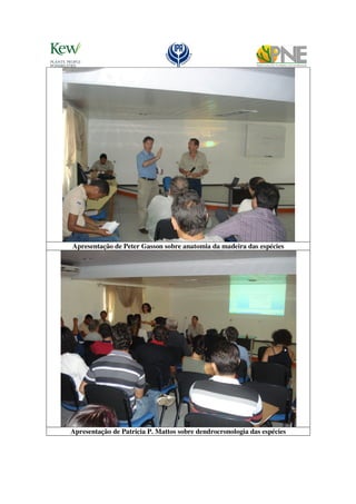 Apresentação de Peter Gasson sobre anatomia da madeira das espécies




Apresentação de Patricia P. Mattos sobre dendrocronologia das espécies
 