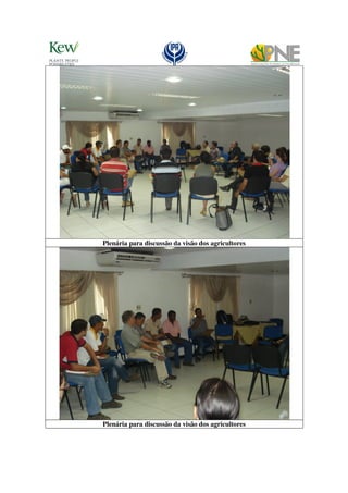 Plenária para discussão da visão dos agricultores




Plenária para discussão da visão dos agricultores
 