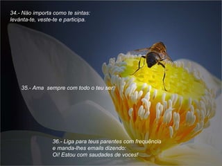 34.- Näo importa como te sintas: levánta-te, veste-te e participa. 35.- Ama  sempre com todo o teu ser. 36.- Liga para teus parentes com frequência  e manda-lhes emails dizendo:  Oi! Estou com saudades de voces! 