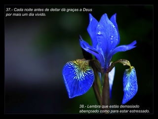 37.- Cada noite antes de deitar dá graças a Deus  por mais um dia vivido.   38.- Lembra que estás demasiado abençoado como para estar estressado. 