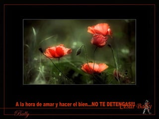 A la hora de amar y hacer el bien...NO TE DETENGAS!!! Cèsar Bally 