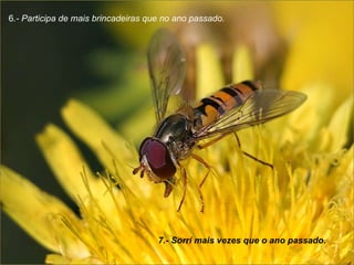 6 .- Participa de mais brincadeiras que no ano passado.  7.- Sorrí mais vezes que o ano passado.  