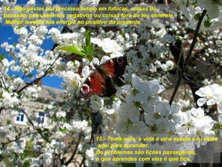 14.- Näo gastes teu precioso tempo em fofocas, coisas do passado, pensamentos negativos ou coisas fora de teu controle.  Melhor investir tua energía no positivo do presente. 15.- Toma nota: a vida é uma escola e tu estás  aquí para aprender.  Os problemas säo liçöes passageiras, o que aprendes com elas é que fica. 
