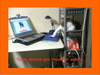 Tu ne devrais pas travailler autant…… 