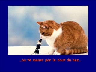 … ou te mener par le bout du nez… 