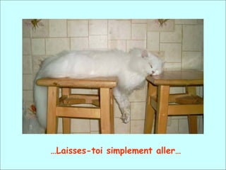 … Laisses-toi simplement aller… 