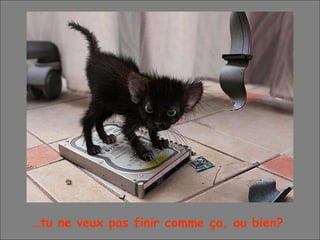 … tu ne veux pas finir comme ça, ou bien? 