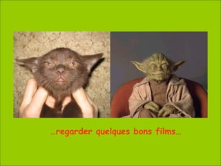 … regarder quelques bons films… 