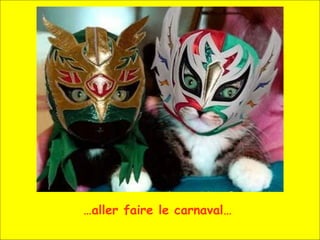 … aller faire le carnaval… 