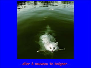 … aller à nouveau te baigner… 