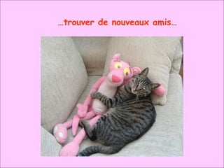 … trouver de nouveaux amis… 