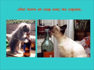 … aller boire un coup avec les copains… 