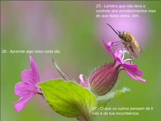 25.- Lembra que näo tens o controle dos acontecimentos mas do que fazes deles, sim . 26.- Aprende algo novo cada dia. 27.- O que os outros pensam de ti  näo é de tua incumbência. 