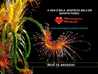 DEUS TE ABENÇOE! A VIDA É BELA. DESFRUTA DELA EM QUANTO PODES. www.mensagensvirtuais.com.br   
