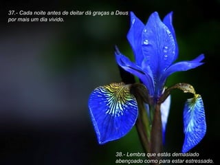 37.- Cada noite antes de deitar dá graças a Deus  por mais um dia vivido.   38.- Lembra que estás demasiado abençoado como para estar estressado. 
