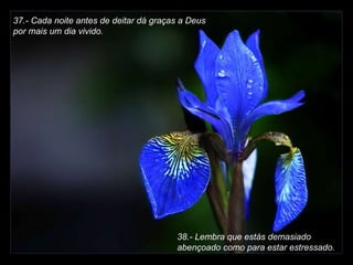 37.- Cada noite antes de deitar dá graças a Deus  por mais um dia vivido.   38.- Lembra que estás demasiado abençoado como para estar estressado. 