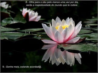 8.- Olha para o céu pelo menos uma vez por dia, sente a majestosidade do mundo que te rodeia.  9 .- Sonha mais, estando acordad@. 