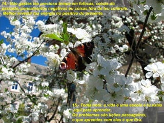 14.- Näo gastes teu precioso tempo em fofocas, coisas do passado, pensamentos negativos ou coisas fora de teu controle.  Melhor investir tua energía no positivo do presente. 15.- Toma nota: a vida é uma escola e tu estás  aquí para aprender.  Os problemas säo liçöes passageiras, o que aprendes com elas é que fica. 